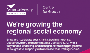 Graphic of a leaflet promoting a programme to grow social enterprises